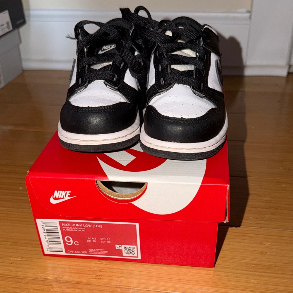 Panda Nike Dunks | 9c